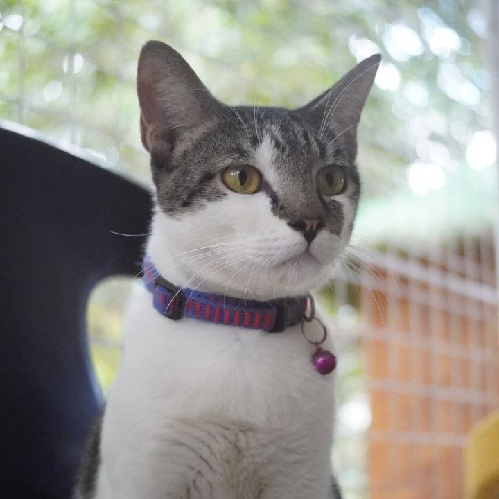 Milo